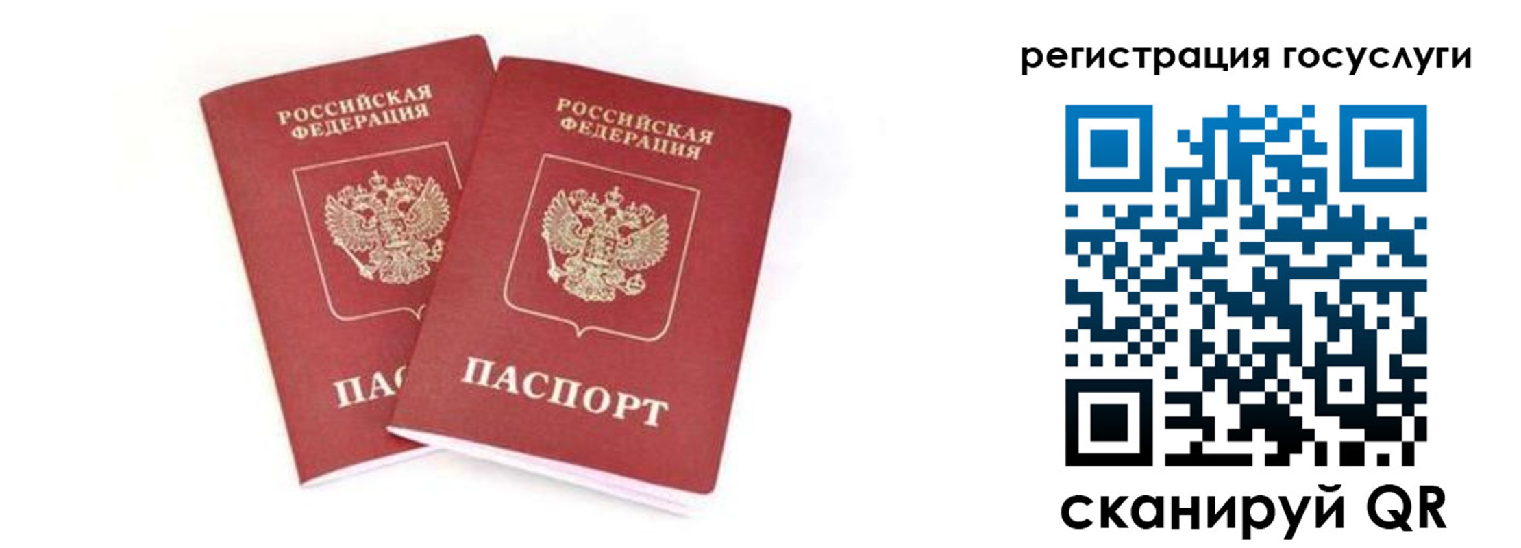 прописка в квартире в Зернограде